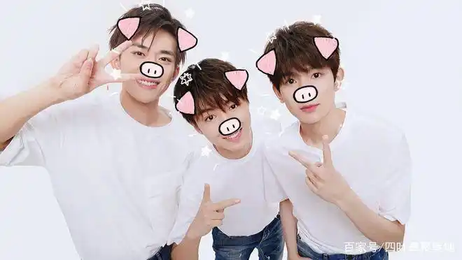 三只小猪上热搜,tfboys可爱到爆的别称,你还知道几个呢