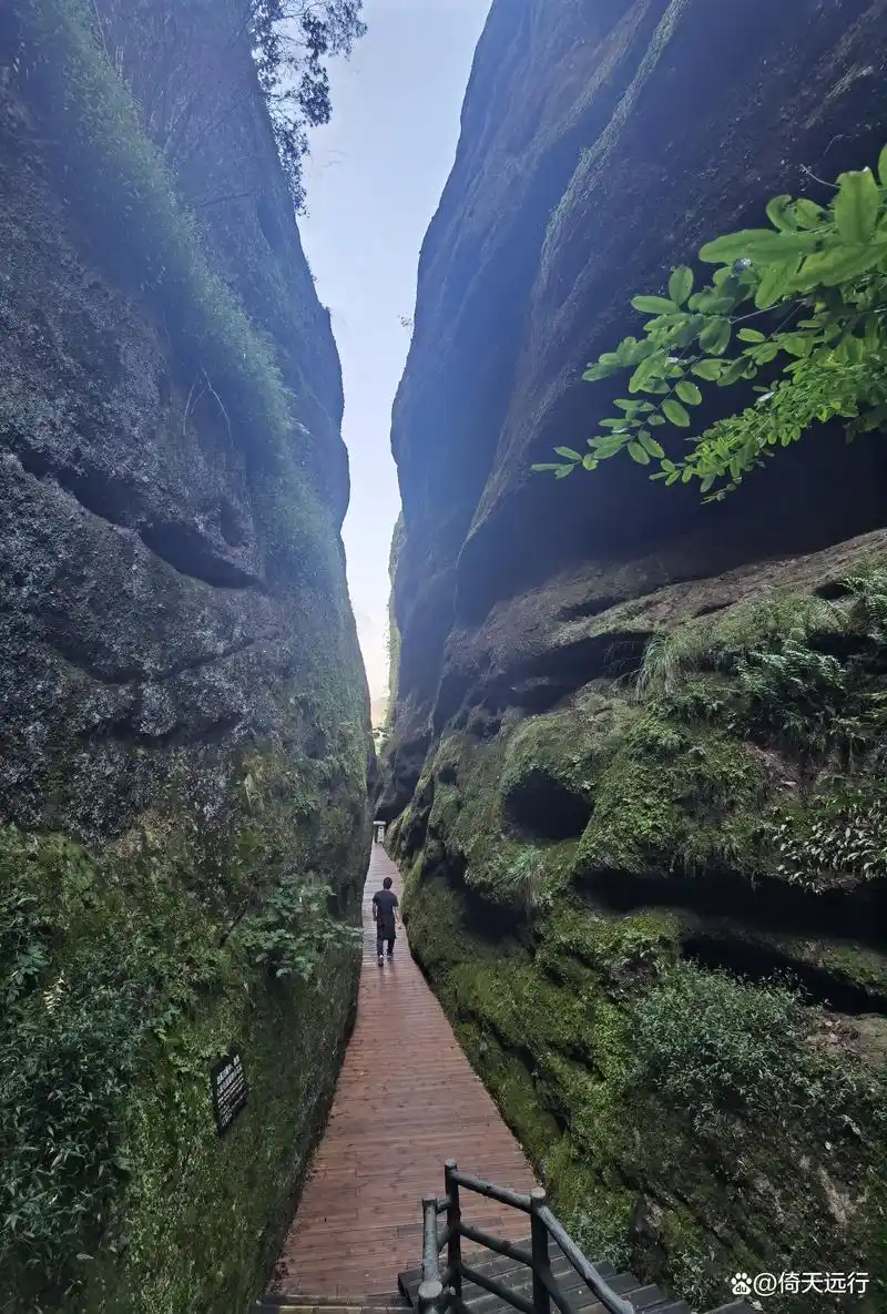 龙虎山一日游攻略