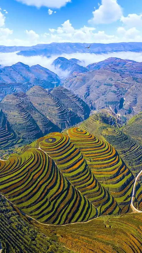 宁夏金鸡坪梯田,被誉为黄土高原美丽的指纹.