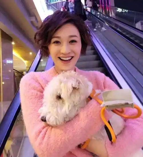 李小冉感情经历曝光!为梅婷前夫怀过2个孩子,嫁给男闺蜜做丁克