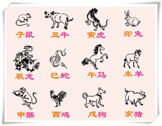 关于十二生肖的知识:它们的排序顺序及其寓意