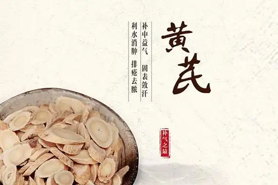 黄芪的功效与作用适合哪些人黄芪泡水喝的功效有哪些黄芪可以用来补肺