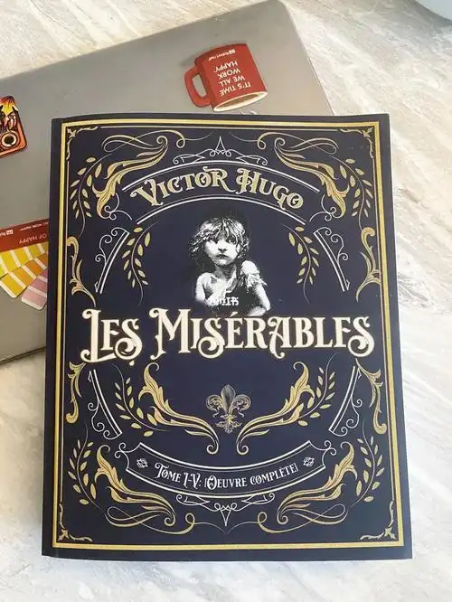 悲惨世界法语原版大砖块
