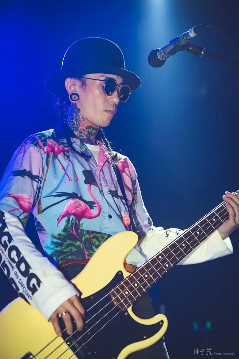 忘不了蓝精灵更忘不了海龟先生