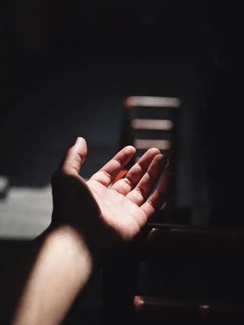 图片素材70幅关于手部形象的唯美图片