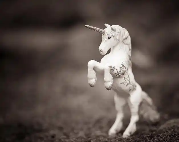 unicorn 独角兽 uploadby.花壳酱