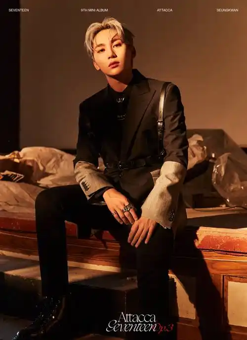 太帅了吧seventeen迷你9辑官方预告照op3公开