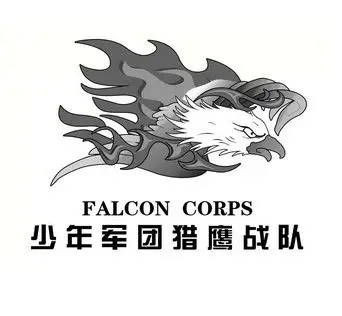 em>少年 /em>军团 em>猎鹰 /em>战队