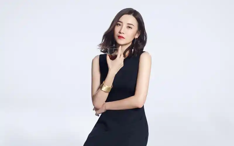 宋佳图片壁纸(3/14)