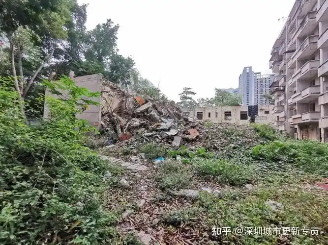 重磅南苑新村城市更新单元房屋征收补偿方案征求意见稿出炉钉子户要慌