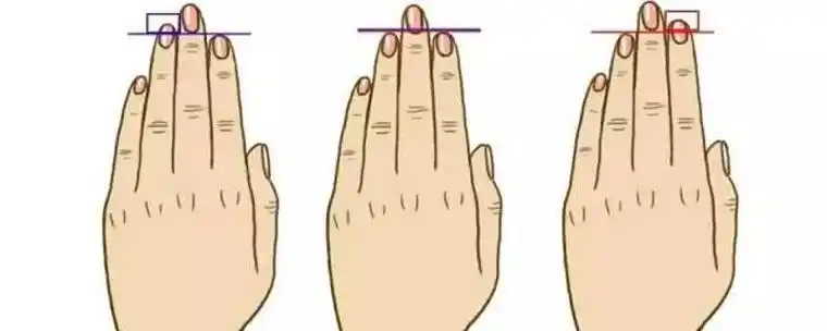 食指无名指是哪个手指