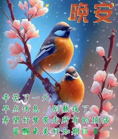 2月7日,微信唯美早上好的问候语祝福图片_人生_空气_亲爱的朋友