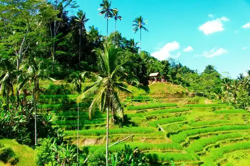 印尼巴厘岛风光
