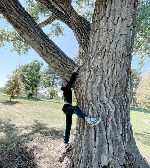 郑爽最新消息在国外现状如何郑爽为什么在美国不回来