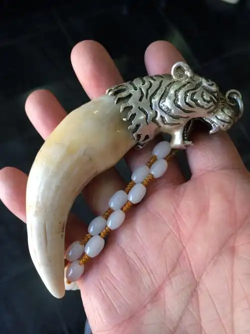 请问行家这个虎牙是什么品质真的吗?价格大概值多少?有收藏价值吗?