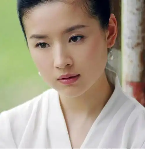 董洁最漂亮高清美照(董洁到底有多美)(2)