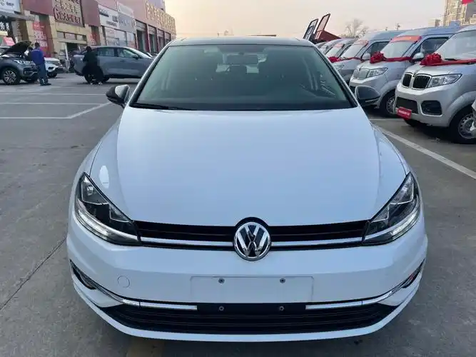 大众 高尔夫  2019款  200tsi dsg舒适进取版 国vi图片