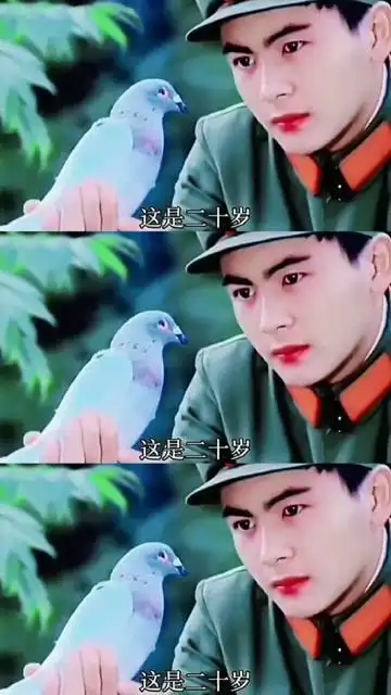 洪剑涛初代军艺校草岁月真是一把猪饲料