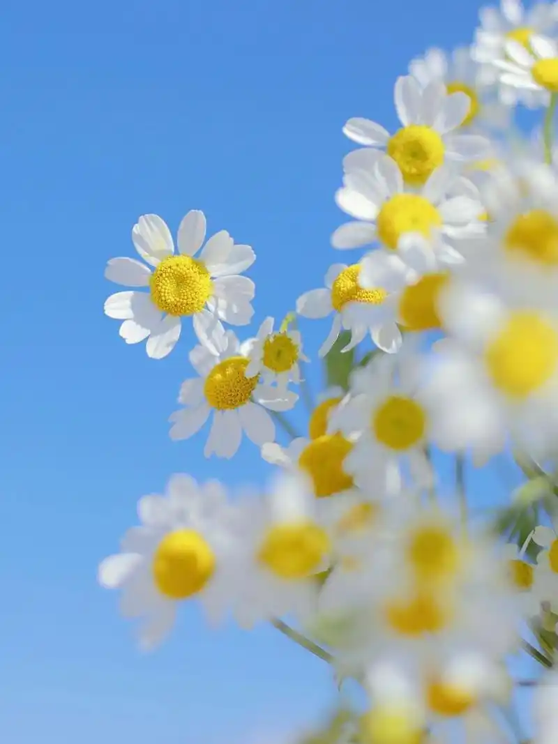 "只要心中有阳光,阴暗的墙角也能开出花儿.