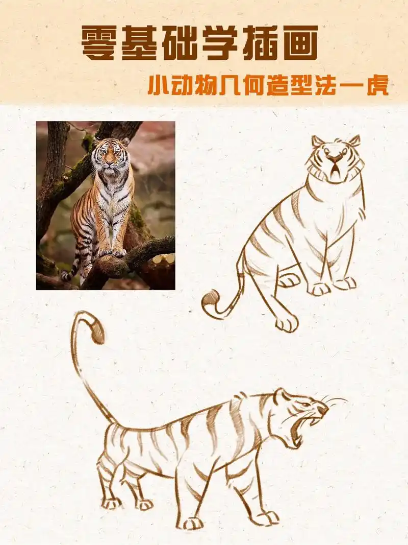 零基础动物插画,虎年当然要画老虎啦!#画画 #插画 #简笔画 - 抖音