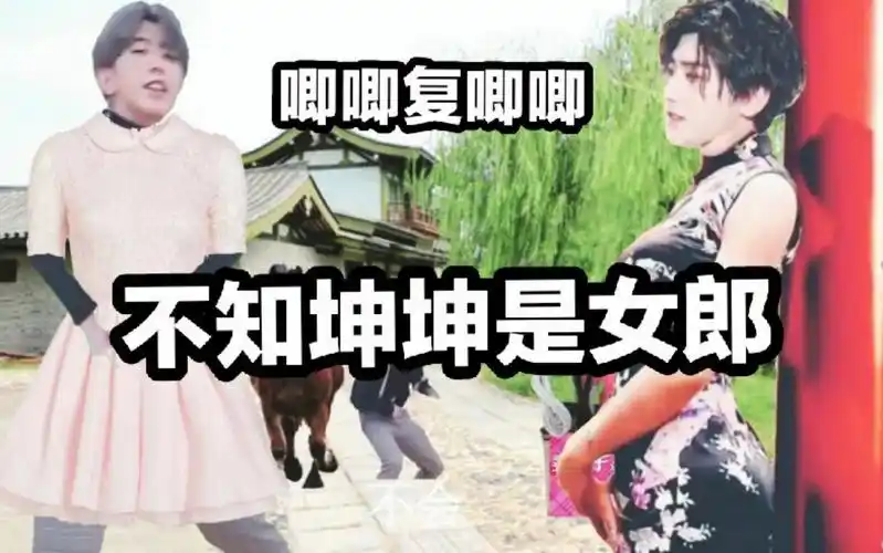 【蔡徐坤】木兰辞———坤坤教你穿女装_哔哩哔哩_bilibili