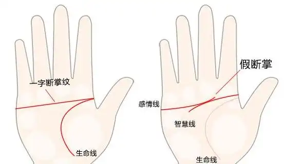 左手断掌的男人花心吗?-周易易学讲堂-手相研究
