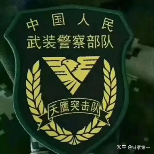 毕业于江西师范大学,13到15年间在新疆天鹰突击队服役知道你都喜欢图