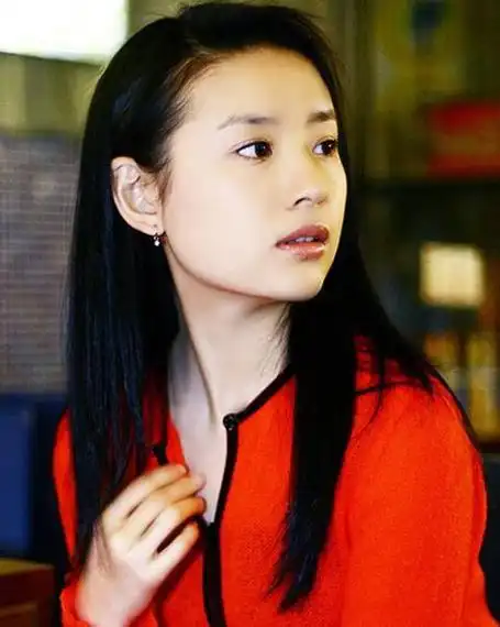 董洁演过多少电视剧(董洁个人资料简介及电视剧)