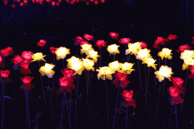 2018沂蒙梦幻水幕灯光秀盛大开幕!