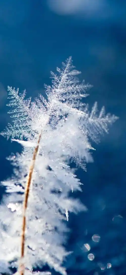 738_1600竖版 竖屏gif 动态图 动图