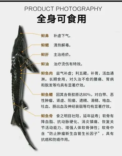 巴东神农谷渔场常年供应鲟鱼鲟鱼肉营养价值丰富,全身无刺,清蒸,红烧