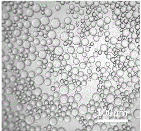 一种稳定的油包水型pickering乳液及其制备方专利_专利查询 - 天眼查