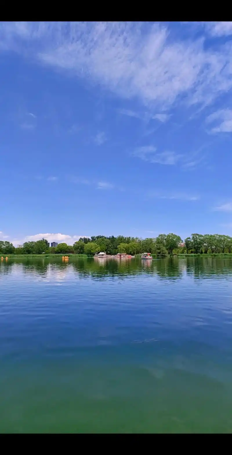 这个夏天总要来趟朝阳公园吧.