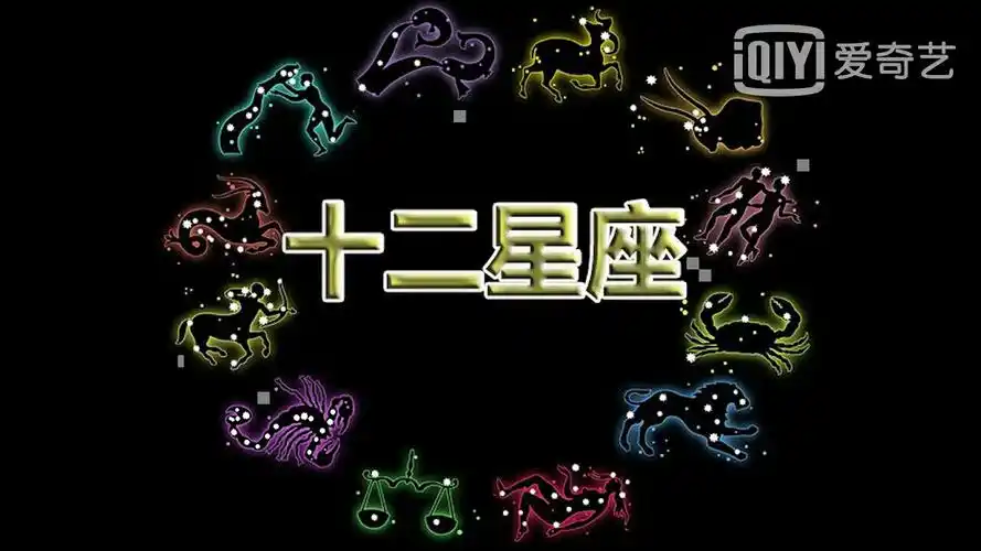 科学探究实验——星空动物园