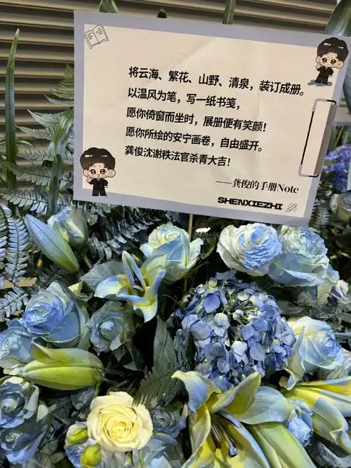 龚俊沈谢秩##龚俊 我们与法庭的距离