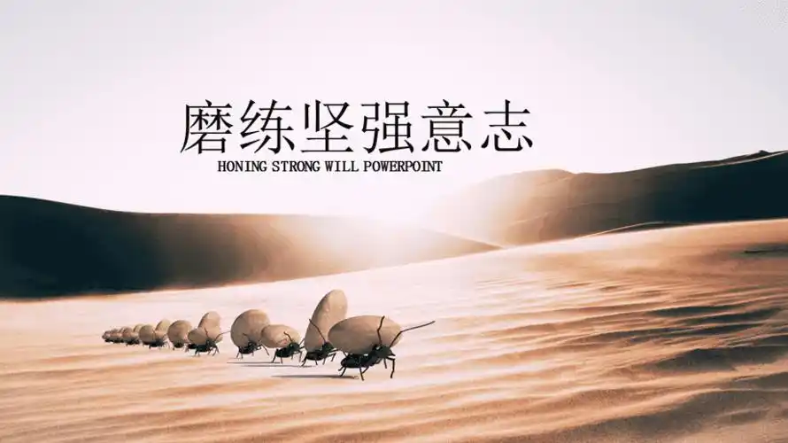 内涵时尚个性简约大气磨练坚强意志ppt模板课件