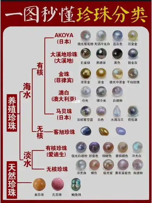 78果断收藏75一图让你秒懂珍珠的分类60