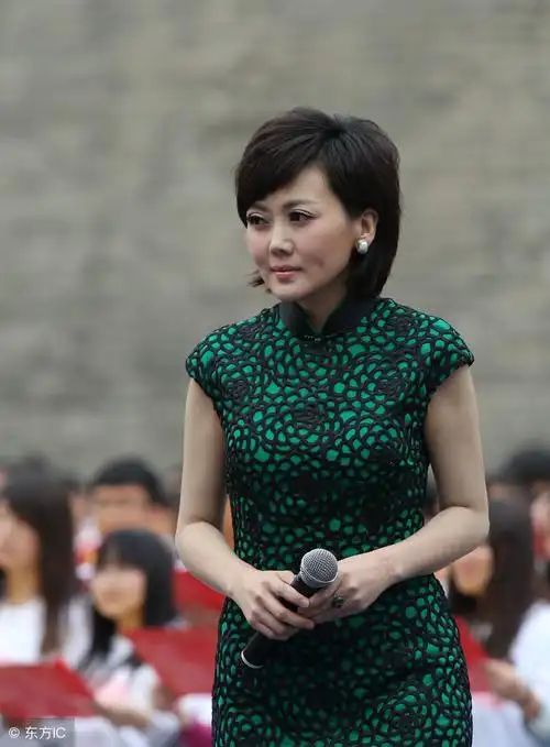 中央电视台主持人柴璐