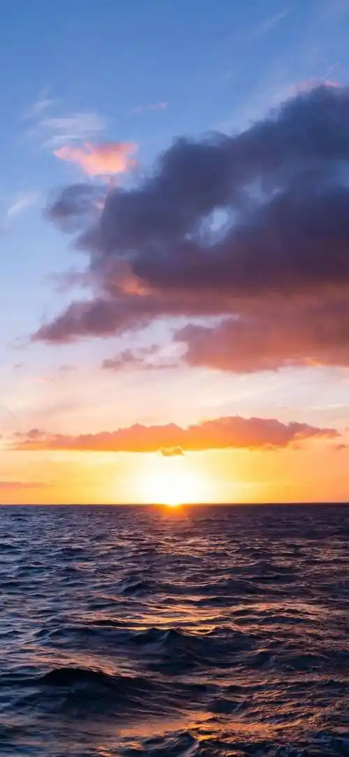 1080_2340竖版 竖屏