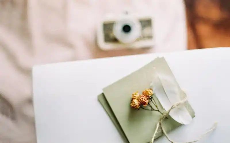 小清新壁纸,高清壁纸,唯美壁纸,电脑简约唯美静物森系壁纸大图