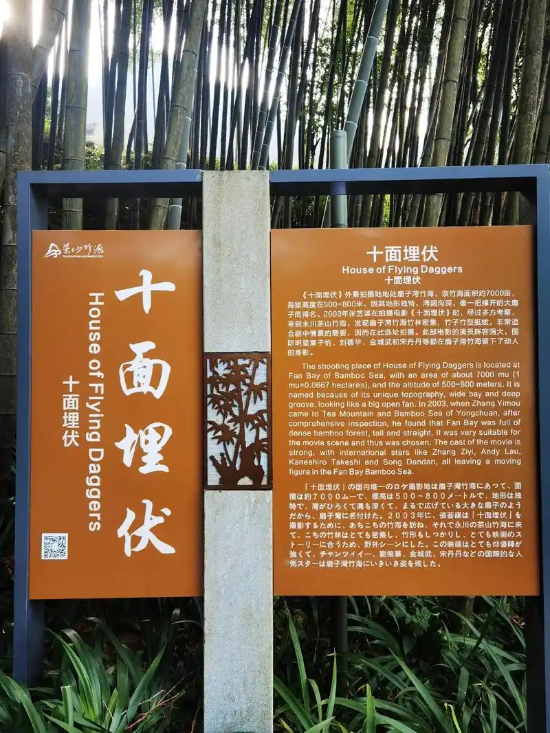 十面埋伏竹海拍摄基地# - 抖音