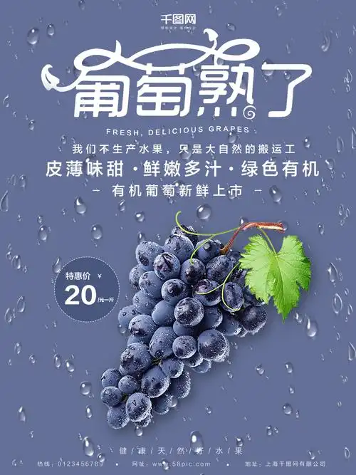 农产品海报素材