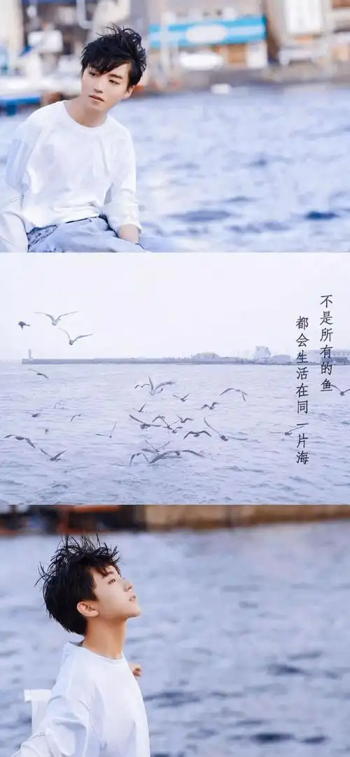 王俊凯拼接板壁纸呦