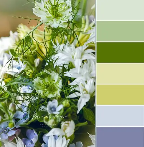 【春天的温柔和惊喜,只有你懂】----莫兰迪色系色卡