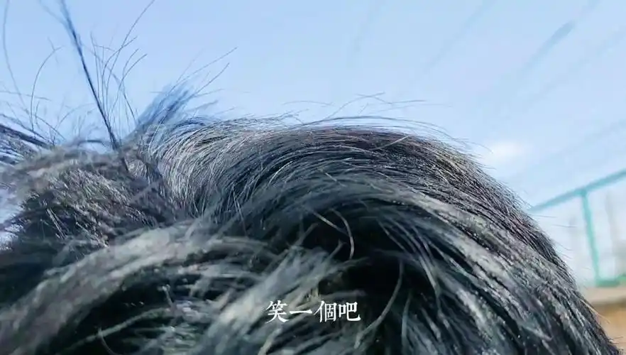 这是一撮zuo倔强的小头发啊～ 细心生活73