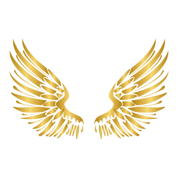 矢量金色奢华欧式元素翅膀