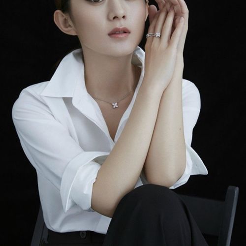 赵丽颖明星同款时尚ol职业装工装纯棉液氨免烫衬衫女长袖大码女装