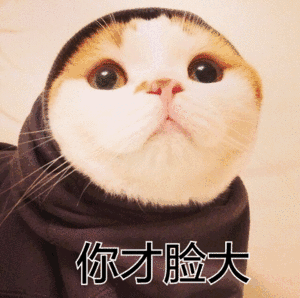 哈哈哈,都是老图表情包 - 表情图