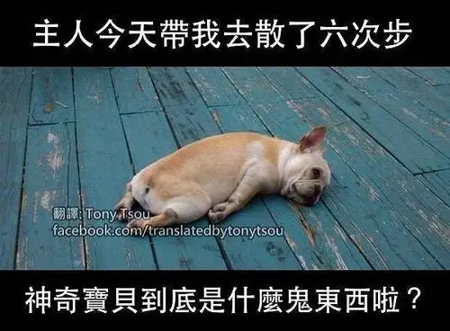 3,有没有一个至今想起来仍然让你笑到肾抽筋的段子?