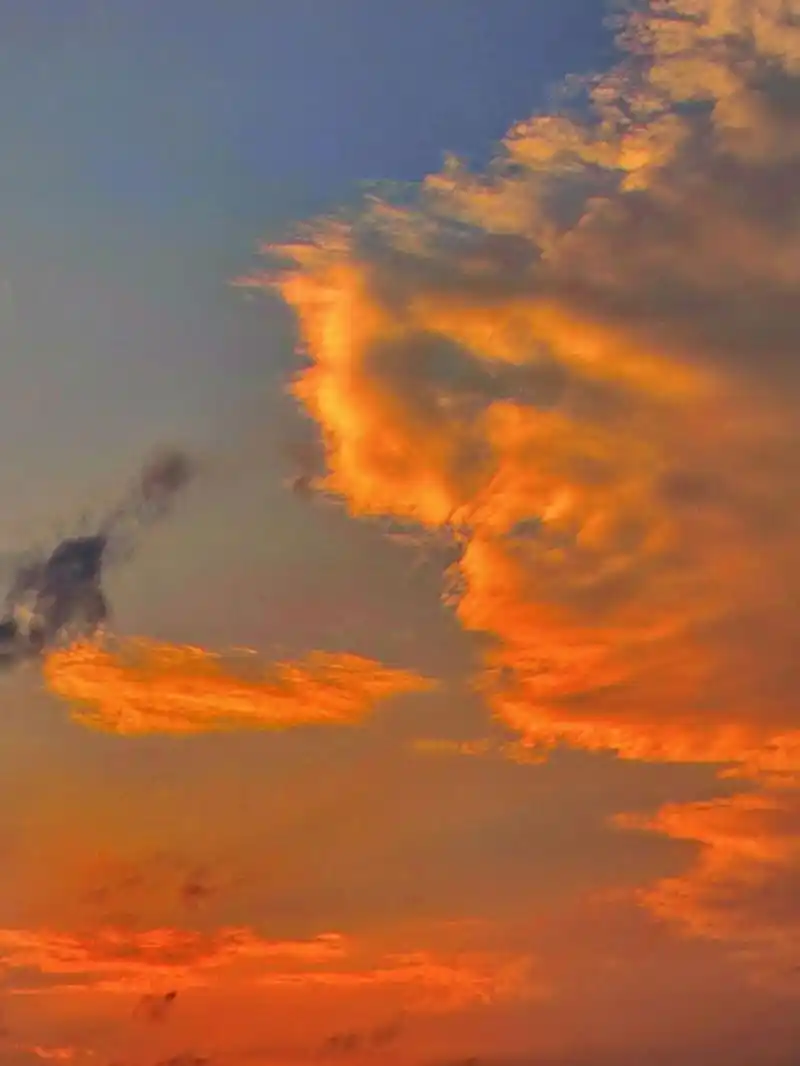 图片素材|昨天橘子味的天空 你看到了吗 原创图片 拿图留痕 #晚霞
